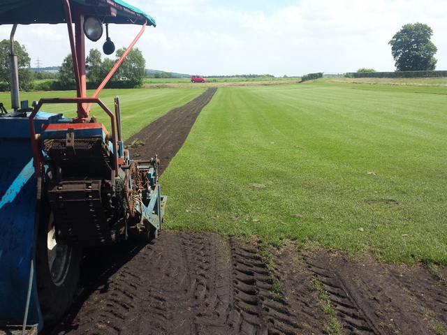 Seed Grown Turf